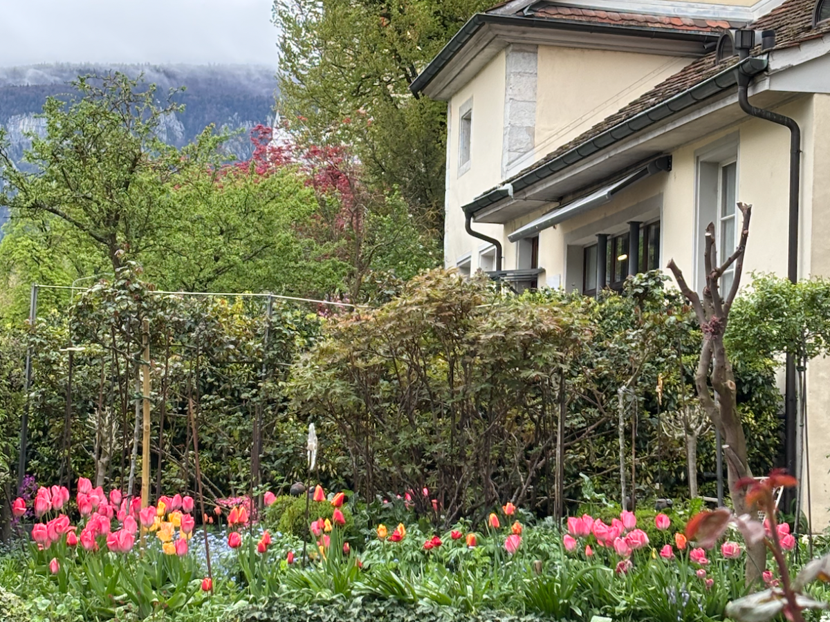 Danke für die&nbsp;Blumen